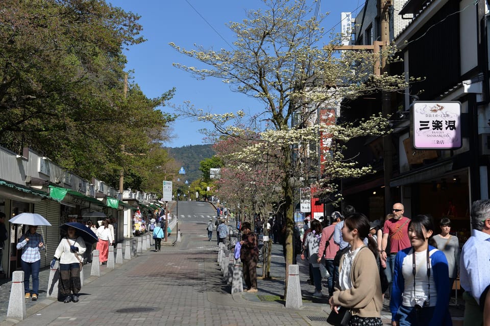 From Kyoto: Old Port Town and Ultimate Sake Tasting Tour - Experience Description