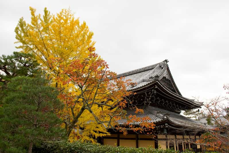 Kyoto: Bicycle Adventure Tour - Booking Information