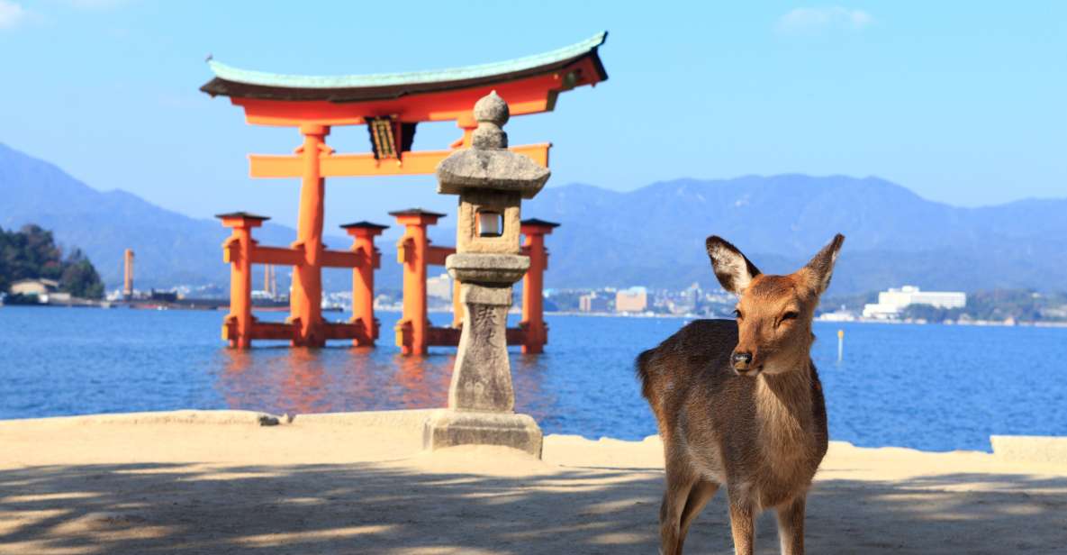 Hiroshima and Miyajima 1-Day Bus Tour With Indian Lunch - Booking Information