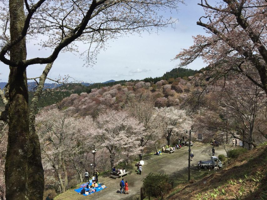 Yoshino: Private Guided Tour & Hiking in a Japanese Mountain - Itinerary