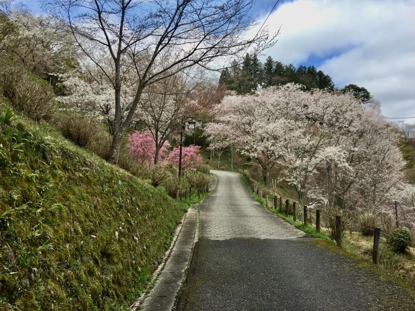 Yoshino: Private Guided Tour & Hiking in a Japanese Mountain - Directions