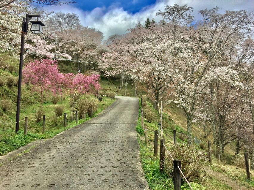 Yoshino: Private Guided Tour & Hiking in a Japanese Mountain - Background