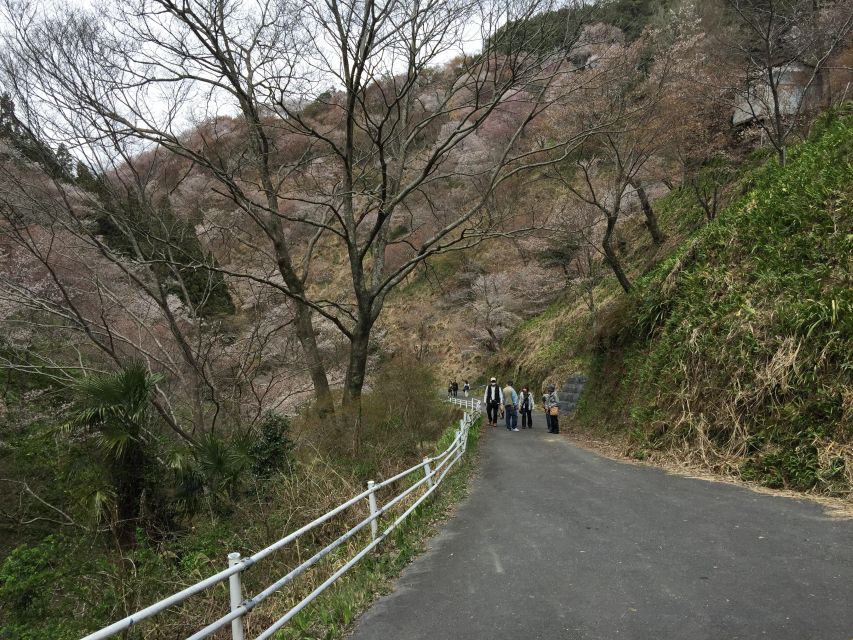 Yoshino: Private Guided Tour & Hiking in a Japanese Mountain - Inclusions