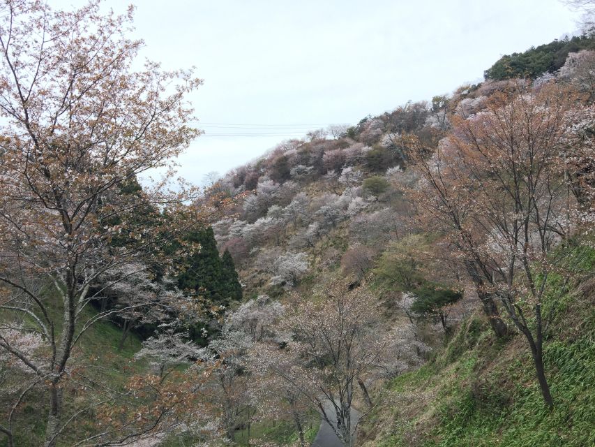 Yoshino: Private Guided Tour & Hiking in a Japanese Mountain - Frequently Asked Questions