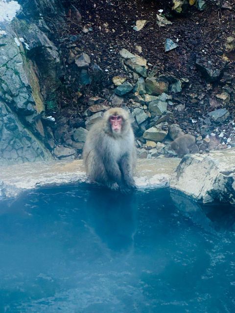 Snow Monkey Park & Zenkoji Temple One Day Trip - Important Information