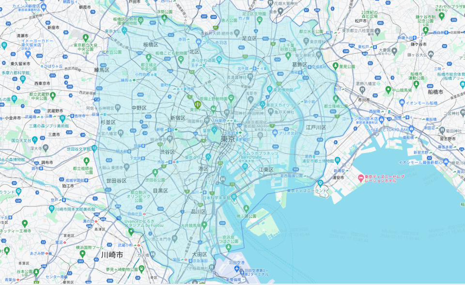 Narita Airport (Nrt): Private One-Way Transfer To/From Tokyo - Frequently Asked Questions