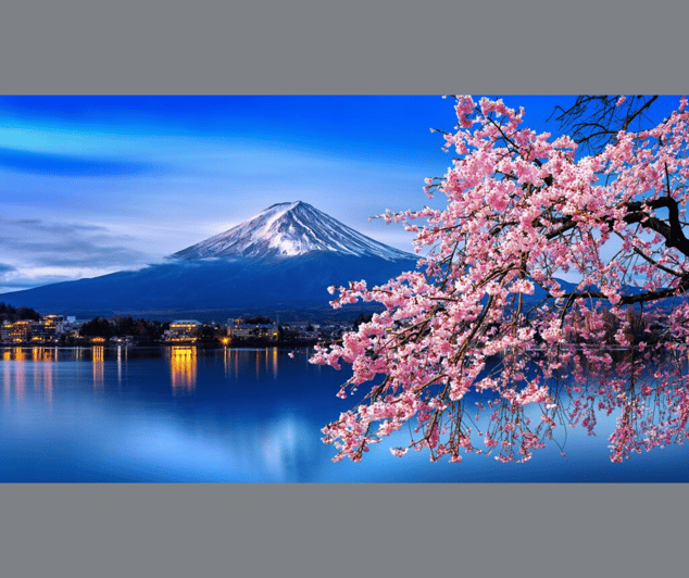 Private Day Trip to Mt. Fuji & Hakone Cherry Blossoms - Itinerary Highlights