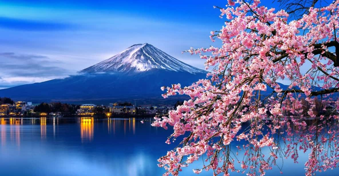 Private Day Trip to Mt. Fuji & Hakone Cherry Blossoms - Key Takeaways