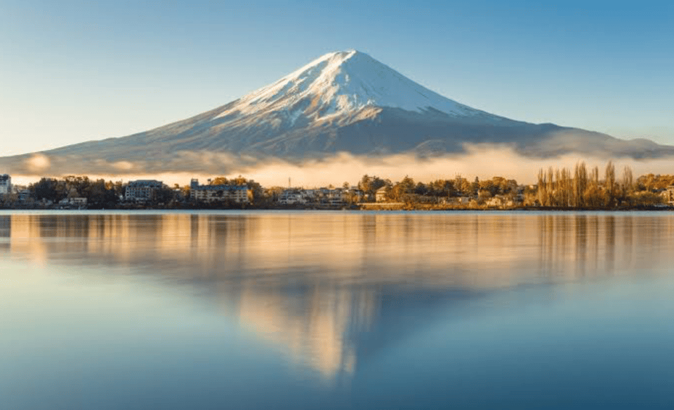 From Tokyo: Mount Fuji Full Day Private Tours English Driver - Restrictions