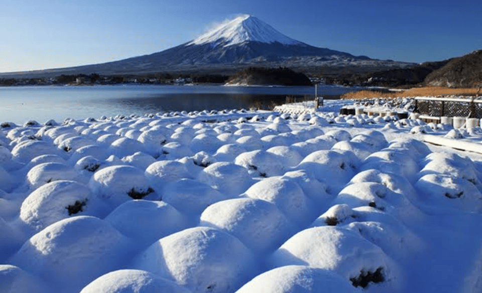 From Tokyo: Mount Fuji Full Day Private Tours English Driver - Conclusion