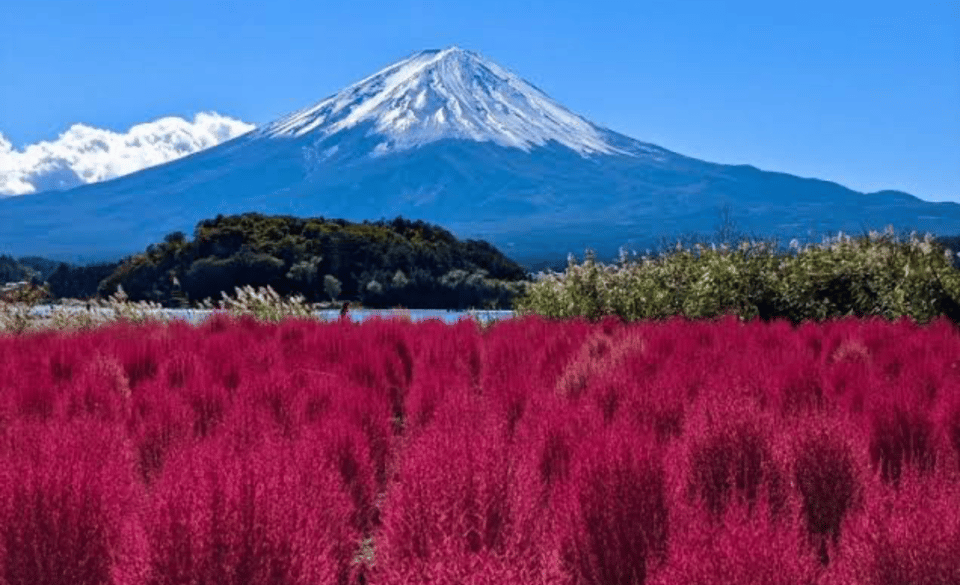 From Tokyo: Mount Fuji Full Day Private Tours English Driver - Booking Information