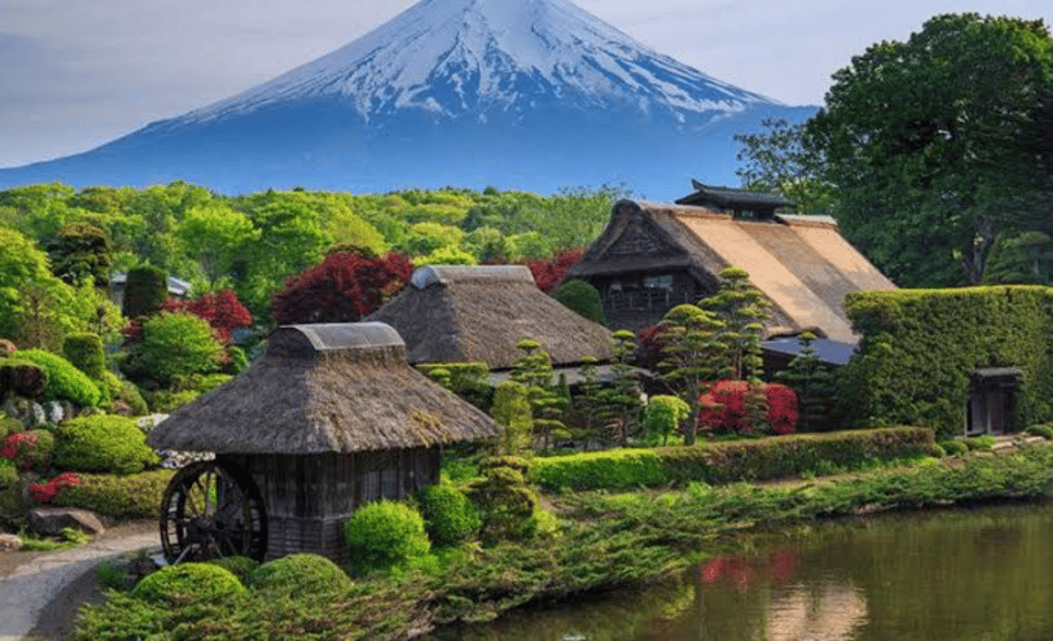 From Tokyo: Mount Fuji Full Day Private Tours English Driver - Customer Reviews