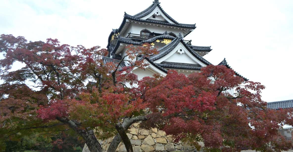 Shiga Audio Guide: The Majestic Lake Castle - Hikone Castle - Key Takeaways