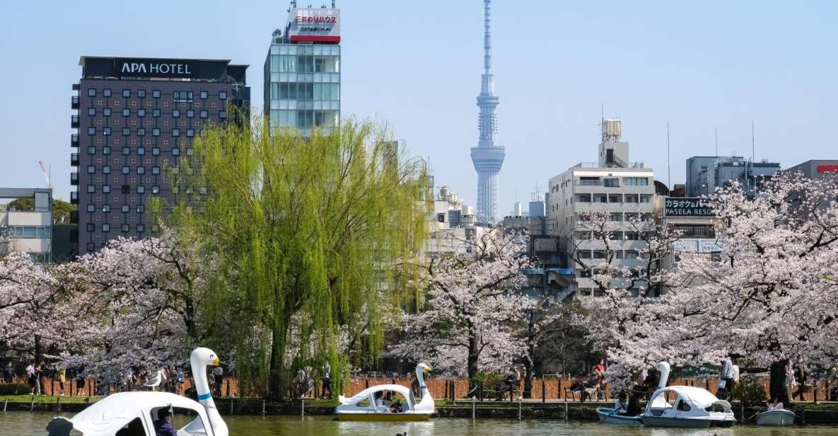 Tokyo: Ueno Fully Comprehensive Tour. Ueno Park to Izakaya. - Conclusion