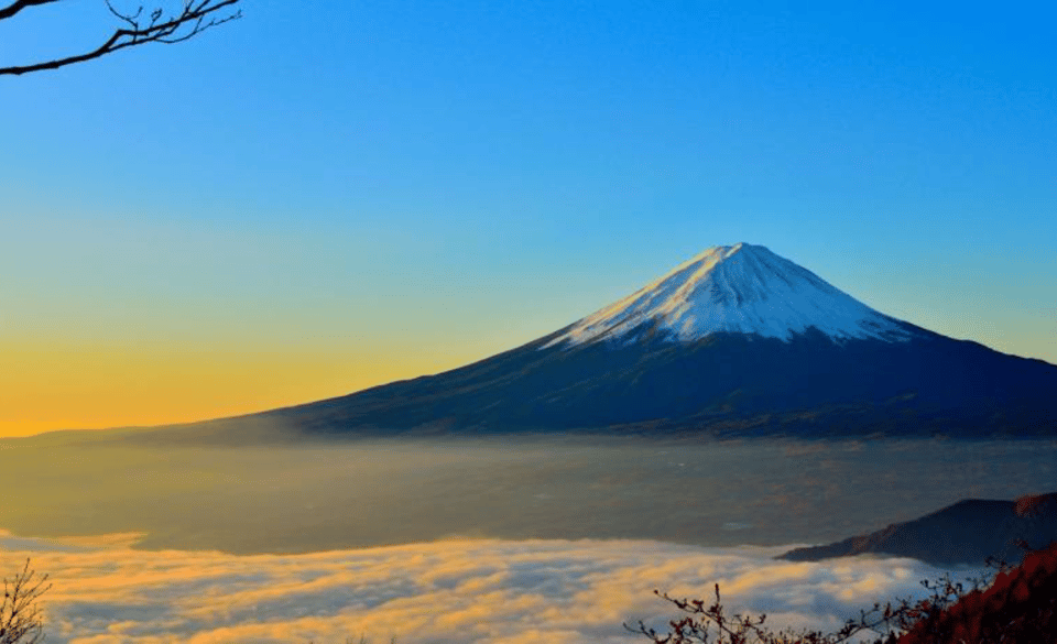 From Tokyo: Mount Fuji Full-Day Private Customized Tour - Reviews