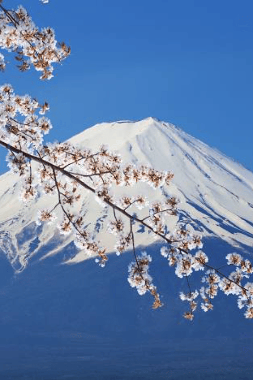 From Tokyo: Mount Fuji Full-Day Private Customized Tour - Itinerary