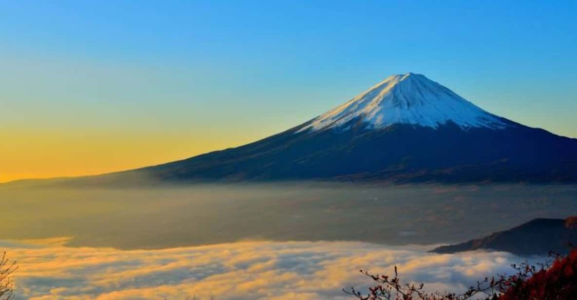 From Tokyo: Mount Fuji Full-Day Private Customized Tour - Highlights