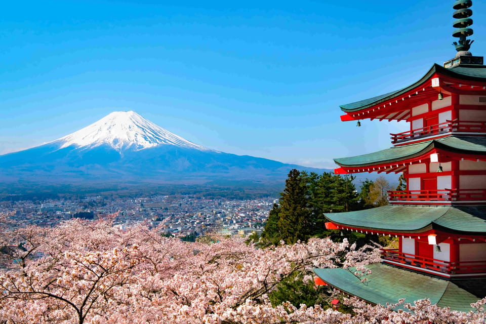 From Tokyo MT Fuji Fully Customize Tour With English Driver - Full Description