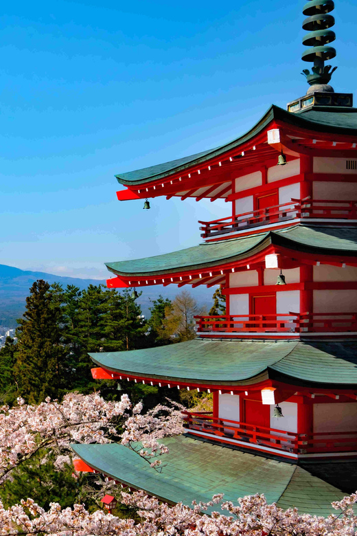 From Tokyo MT Fuji Fully Customize Tour With English Driver - Inclusions