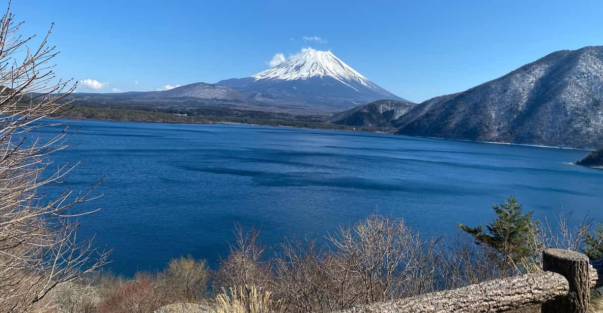 From Tokyo:Mt. Fuji Private Day Tour - Tour Activity