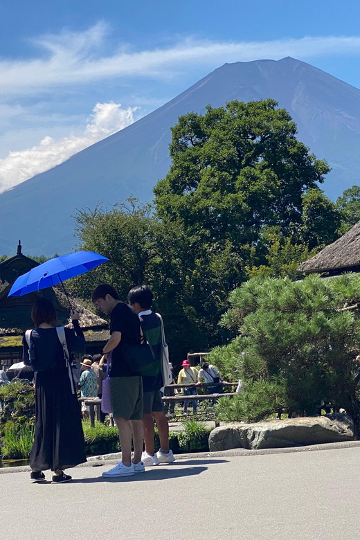 From Tokyo:Mt. Fuji Private Day Tour - Inclusions