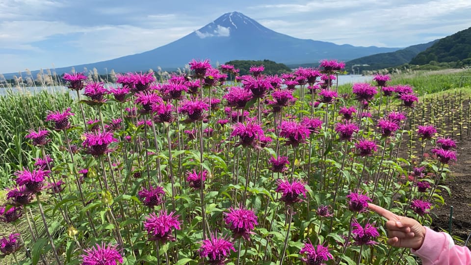 From Tokyo:Mt. Fuji Private Day Tour - Customer Reviews