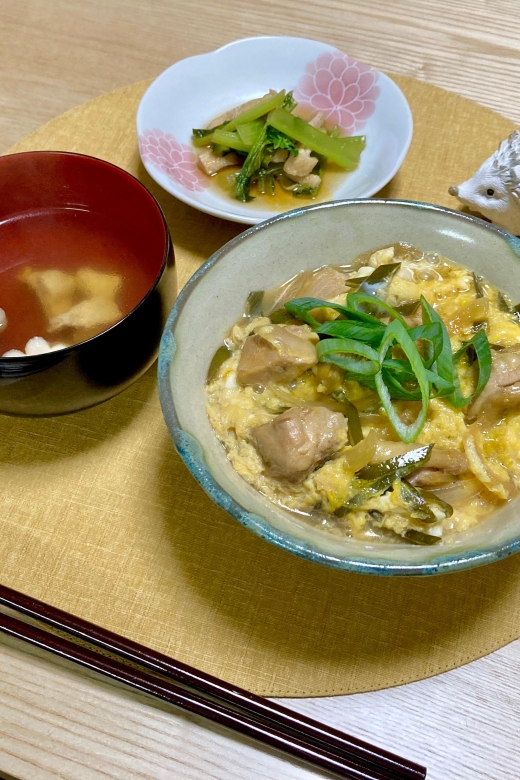 Osaka:Make Naturally Fermented Oyakodon(Chicken&EggRiceDish) - Important Information and Reviews