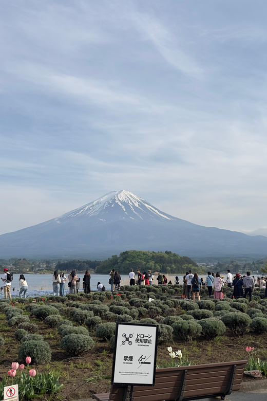 Tokyo: Mt. Fuji and Lake Kawaguchi Private Tour - Inclusions and Experiences