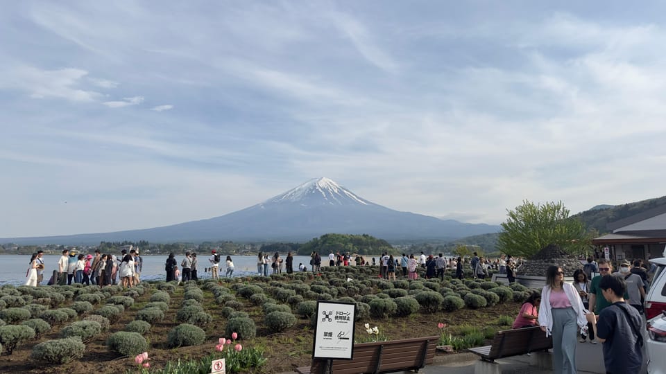 Tokyo: Mt. Fuji and Lake Kawaguchi Private Tour - Customer Reviews