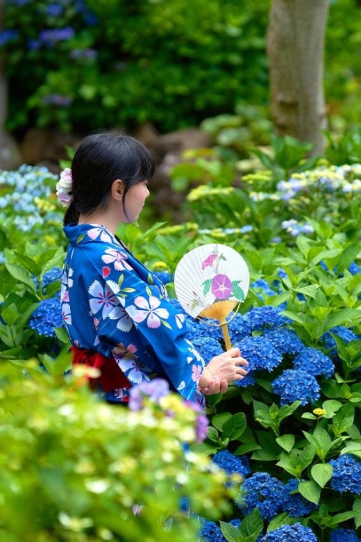 Tokyo: Izu Hydrangea Ocean, Jogasaki Beach & Hot Spring Day - Highlights