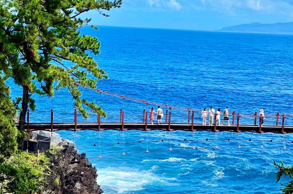 Tokyo: Izu Hydrangea Ocean, Jogasaki Beach & Hot Spring Day - Description