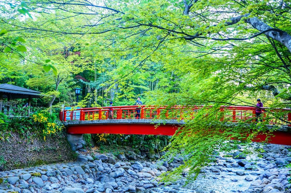 Tokyo: Izu Hydrangea Ocean, Jogasaki Beach & Hot Spring Day - Main Attractions