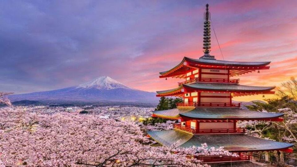 Alpha Japan With Mt.Fuji by Hiace Upto 9 Persons - Pricing Information