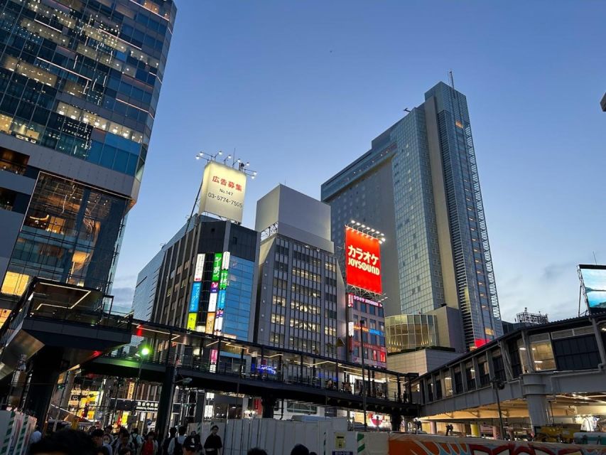 4 Hours Private Shibuya - Shinjuku Night Tour - Conclusion