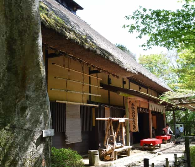 Hakone Geology & History Tour - Transportation Details