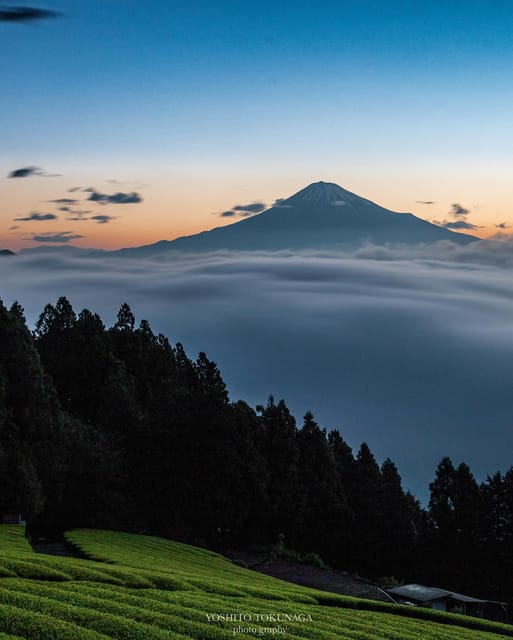 Kanto 10-Hour Chartered Day Trip｜Mt. Fuji Day Trip - Pricing and Discounts