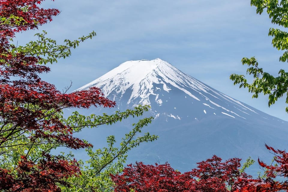 Kanto 10-Hour Chartered Day Trip｜Mt. Fuji Day Trip - Accessibility and Cancellation Policy