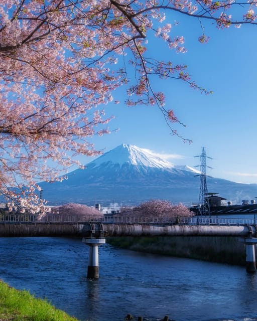 Kanto 10-Hour Chartered Day Trip｜Mt. Fuji Day Trip - Itinerary and Highlights