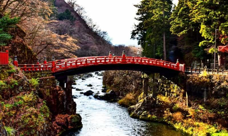 Kanto 10-Hour Chartered Day Trip｜Nikko - Important Information