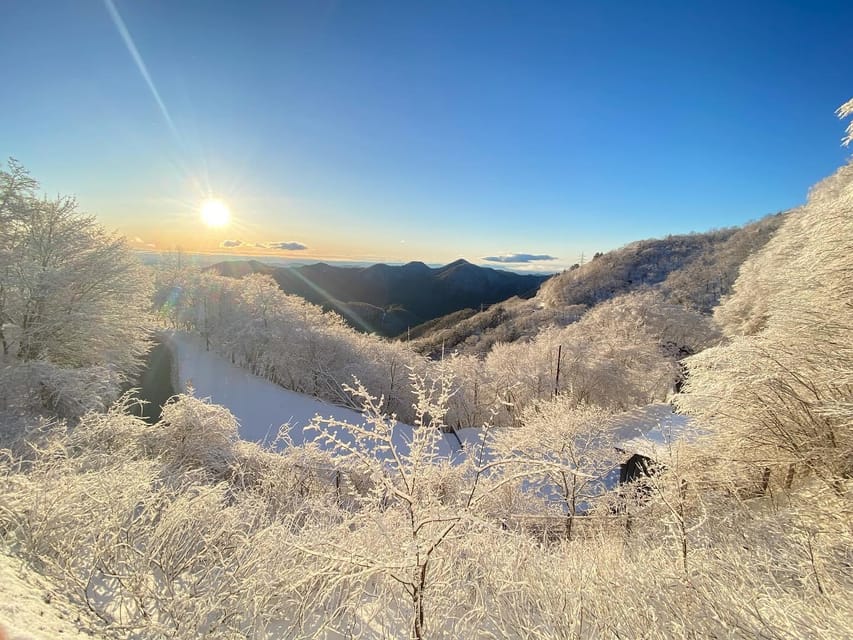 Kanto 10-Hour Chartered Day Trip｜Nikko - Conclusion