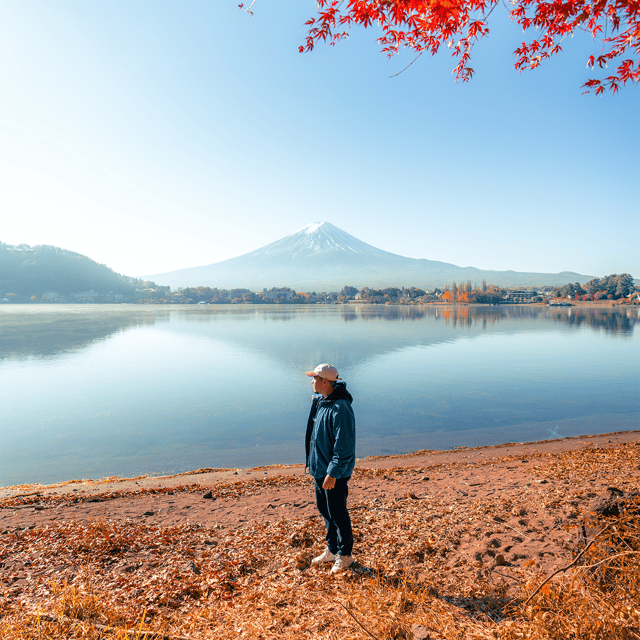 Fuji Tour: Exploring the Beauty Around Mount Fuji - Key Takeaways