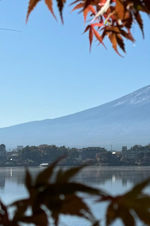 Fuji Tour: Exploring the Beauty Around Mount Fuji - Important Guidelines