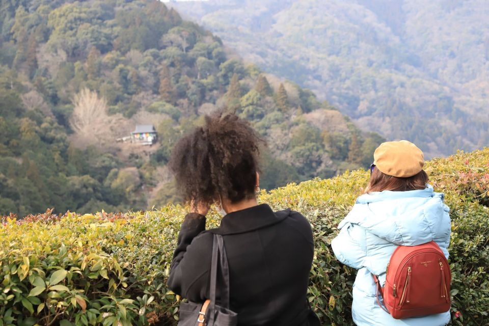 Kyoto Arashiyama Best Spots 4h Private Tour - Highlights