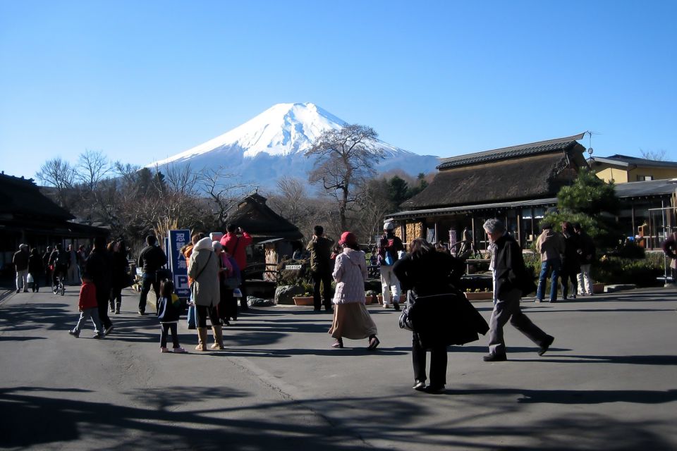 Mount Fuji: Full-Day Tour With Private Van - Booking Information