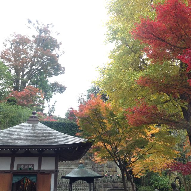 Kamakura: Great Buddha, Hase Temple, & Komachi Street Tour - Additional Tips and Recommendations